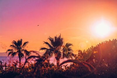 Silhouette palm trees against romantic sky at sunset