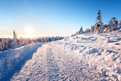 Snow covered trees and field against sky during sunset