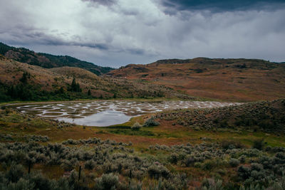 Scenic view of landscape against sky