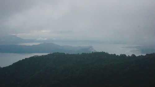 Scenic view of forest against sky