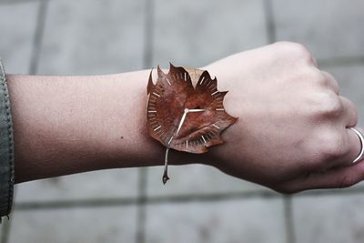 Close-up of person holding dry leaf