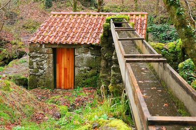 Abandoned roof against trees