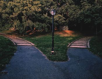 Road amidst trees in park