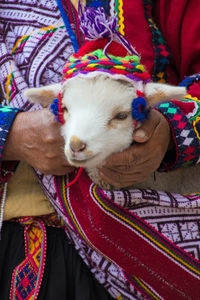 Midsection of person holding goat