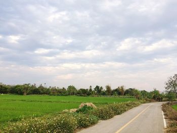 Scenic view of field against sky