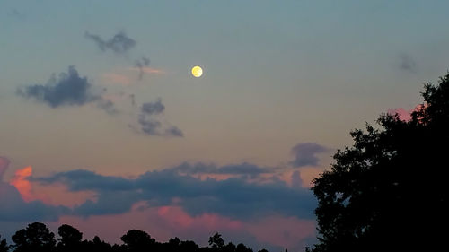 Low angle view of silhouette trees against sky at sunset