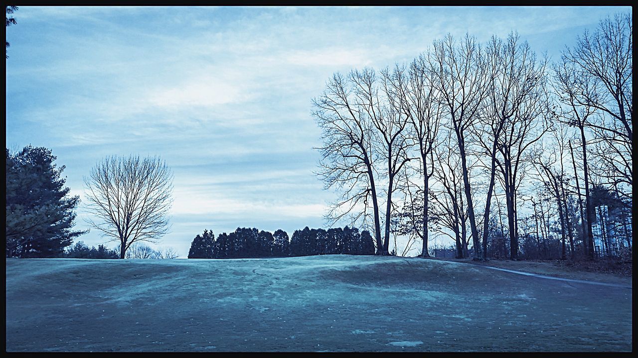 EMPTY ROAD WITH BARE TREES IN FOREGROUND