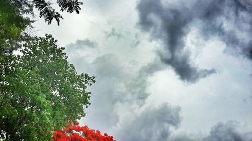 Low angle view of trees against cloudy sky