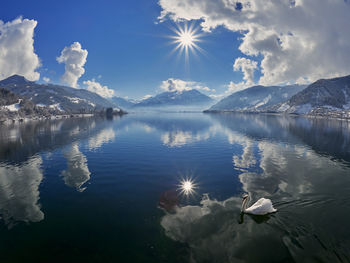 Swans in lake against sky