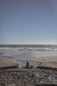 Rear view of man on beach against clear sky