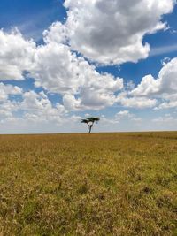 Scenic view of field against sky