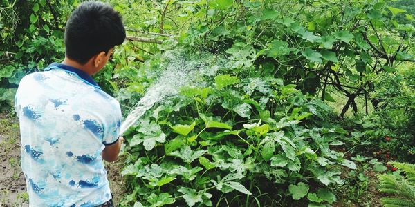 Man standing by plants