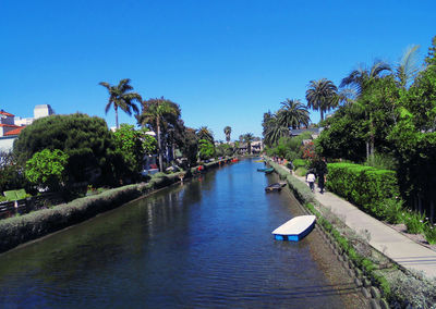 Canal amidst palm trees against clear blue sky