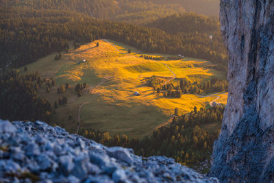 High angle view of trees on landscape during sunset