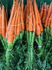 High angle view of vegetables