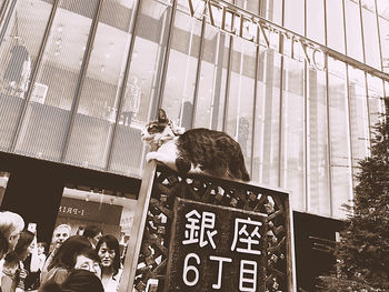 Group of people photographing against built structure