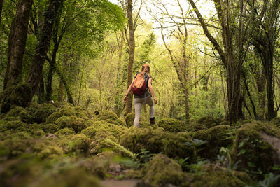 Back view of unrecognizable woman with rucksack walking exploring cantabria woods during summer vacation