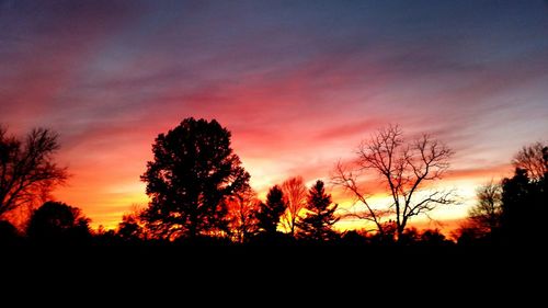 Silhouette of trees against sky at sunset