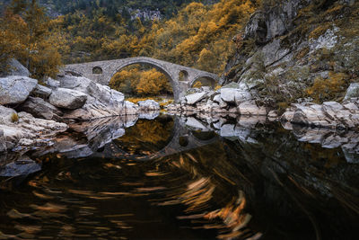 Arch bridge over stream in forest