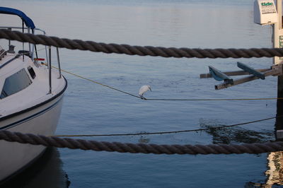 Boat sailing in river
