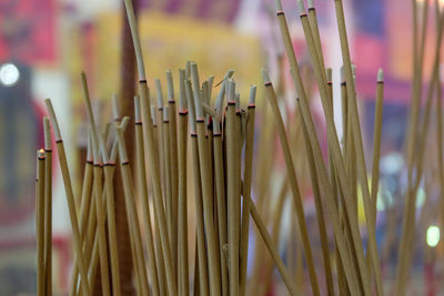 Close-up of burning incense at temple