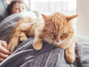 Father, son, cute ginger cat sit on window sill. family relax under blanket while snow is falling.