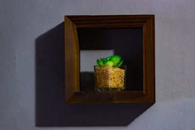 Directly above shot of potted plant on table at home