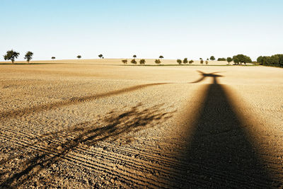 Long shadow of a windmill on a harvested field, single trees in the background, late summer mood