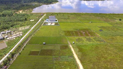 High angle view of agricultural landscape