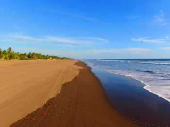 Scenic view of beach against blue sky