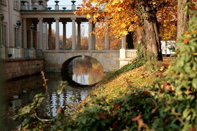 Arch bridge over plants during autumn