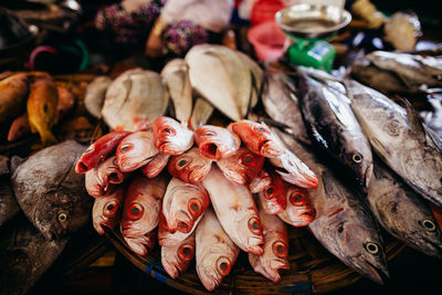 Fish for sale at market