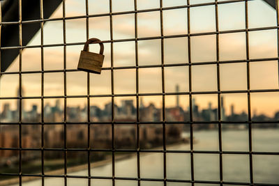 Padlocks hanging on chainlink fence nyc skyline