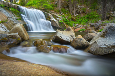 Scenic view of waterfall in forest