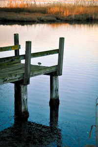 Wooden pier on lake