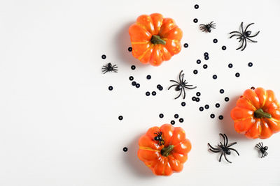 High angle view of orange berries against white background