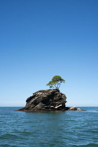 Scenic view of sea against clear blue sky