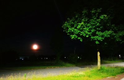 Illuminated trees on field at night