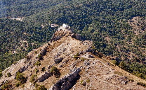 High angle view of trees on land