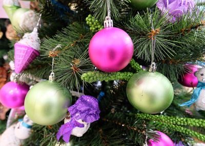 Close-up of christmas decorations hanging on tree