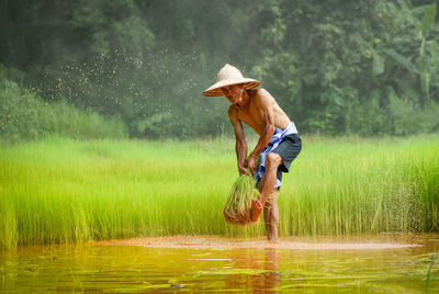 Shirtless man farming in water on field