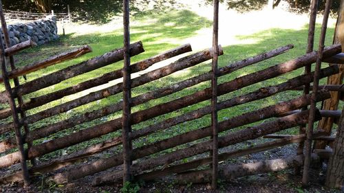 View of trees in park