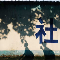 Close-up of shadow on brick wall