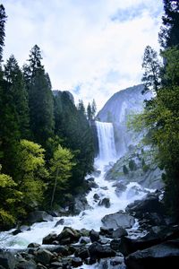 Low angle view of waterfall in forest against cloudy sky