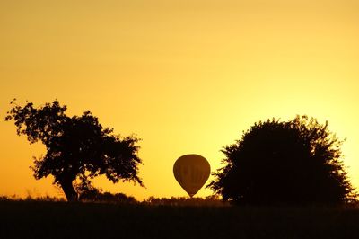 Silhouette of trees at sunset