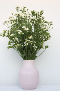 Close-up of white flowers on table