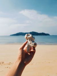 Close-up of hand holding coral on beach