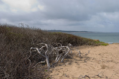 Scenic view of sea against cloudy sky