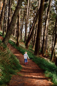 Child walking on path in forest in new zealand