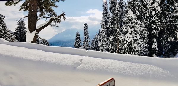 Snow covered land and trees against sky